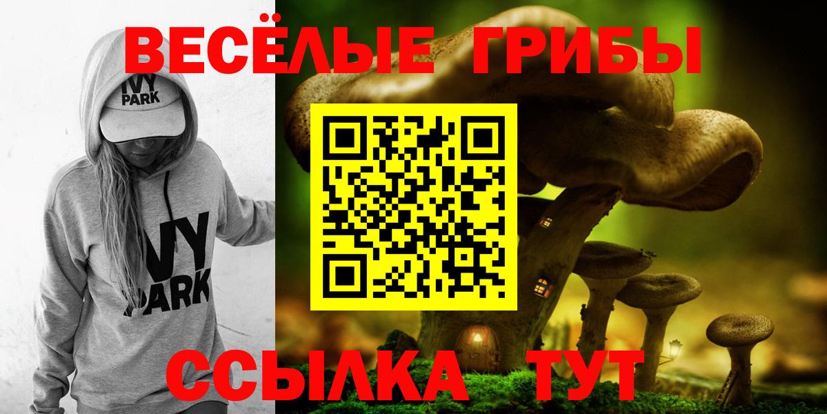 Псилоцибиновые грибы прущие грибы  Вход с VPN  Одинцово 